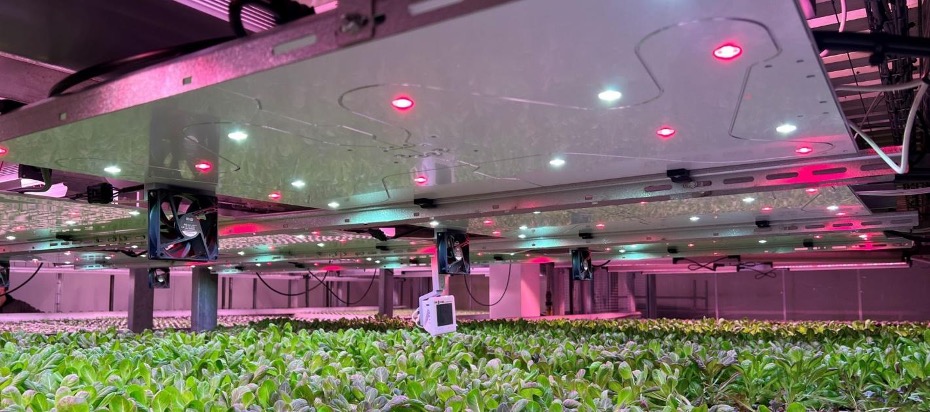 foto-agricoltura-verticale8