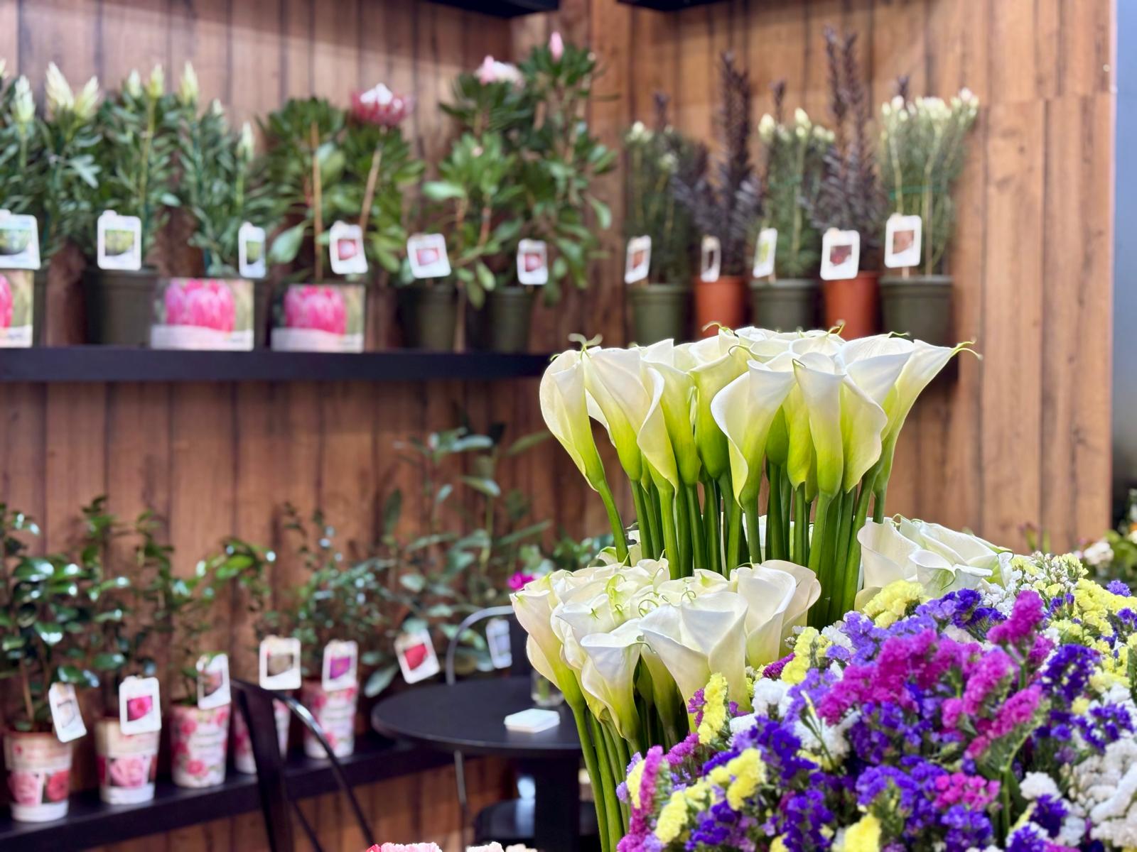 Flora IPM Essen 25_3