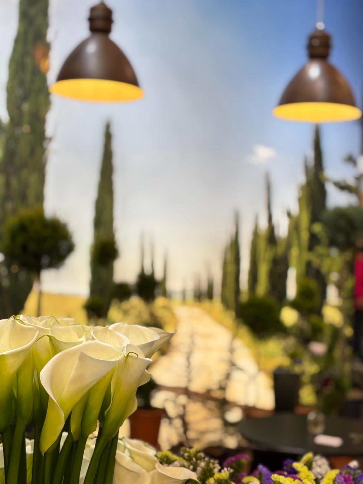 Flora Ipm Essen 25_1