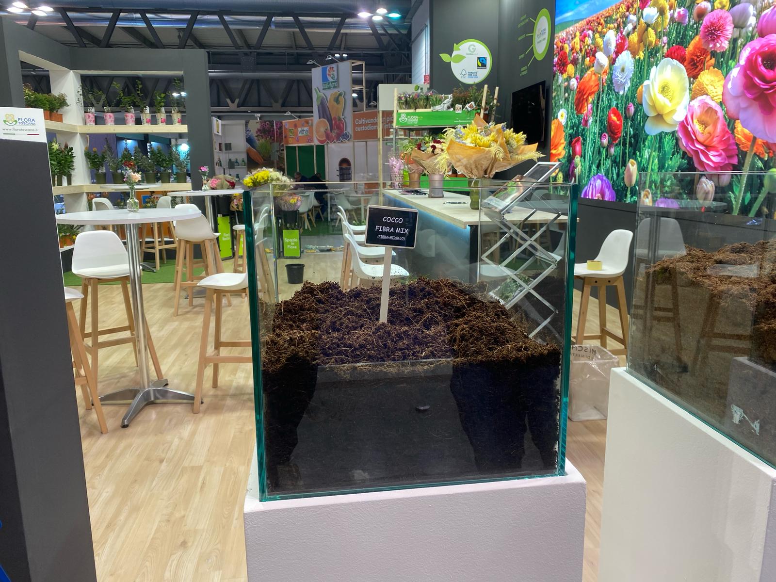 WhatsApp Image 2025-02-19 at 09.37.01-5 Myplant 2025