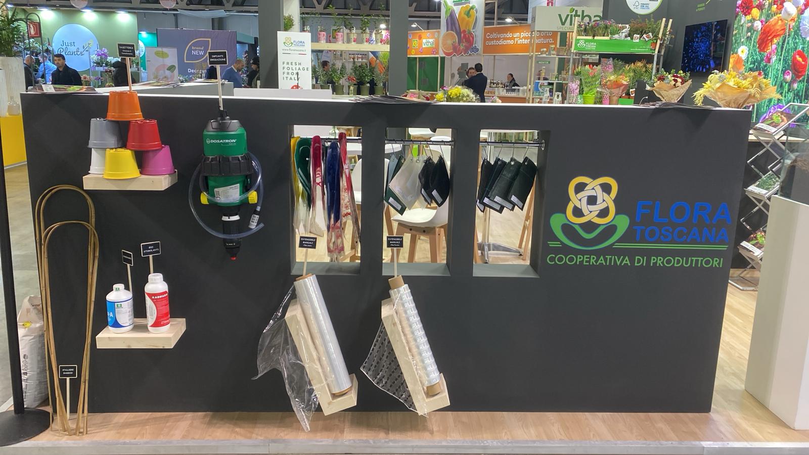 WhatsApp Image 2025-02-19 at 09.37.03-4 Myplant 2025